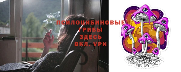трава Абаза