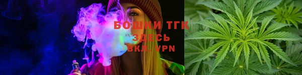 молекула духа Медвежьегорск