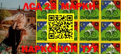 прущие грибы Керчь