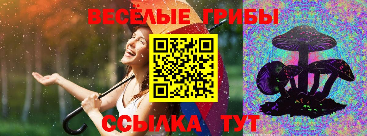 Галлюциногенные грибы Psilocybine cubensis Иркутск