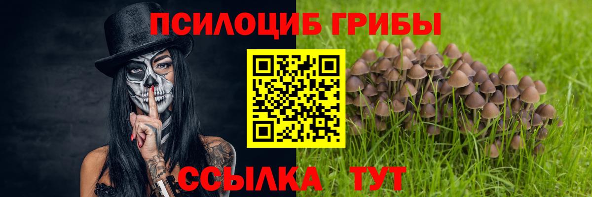 Галлюциногенные грибы Psilocybine cubensis  дарнет шоп  Иркутск  Вход с VPN 